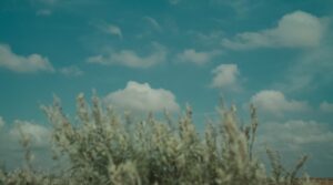 Yamini Yagnamurthy Instagram - Screengrabs of #indianterrain film #fashionfilm @whoamamadesign @room.no.101 @dr.nakata_ @mr.richardanthony @thatsmokeshell @saifu.salam
