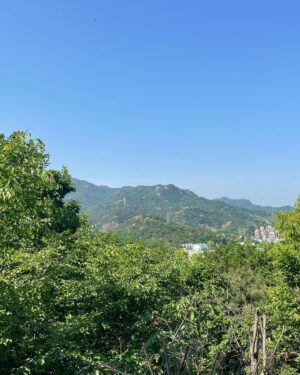 Yang Han-yeol Instagram - 강의시간에 교수님과 등산..⛰
#등산#지적삼각점