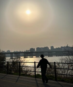 Yang Jun-mo Instagram - 벚꽃 다 어디갔니..?