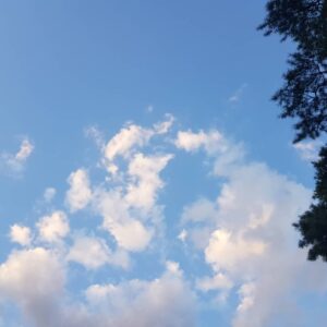 Yang Se-hyung Instagram - 애기야 여기 보자~~~
옳지~~~
(촬영장에서 만난 강아지)
날 좋네여
어디서 뭣들하세여?
#입왜저럼?