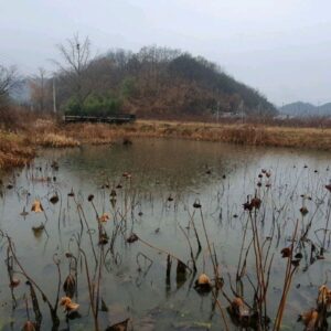Yang Se-hyung Instagram - 사진2개 넘기면 
내가 담았지만 빗소리 끝남
귀 가까이 하고 들어봐요