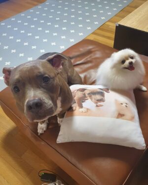 Yang Se-hyung Instagram - 옥희독희가 여러분께
잘 지내고 있다고 인사 
올린데요~~~히히^---^
즐거운하루보내세요
