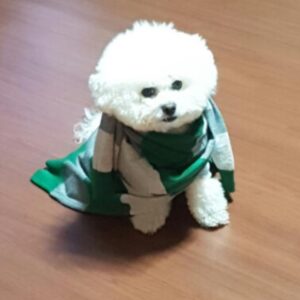 Yang Seung-ho Instagram - 왜 기분이 안좋아^^!? 눈치백단장비 훗  #사비타 #엠블랙 #승호 #양장비 #훗 #A 