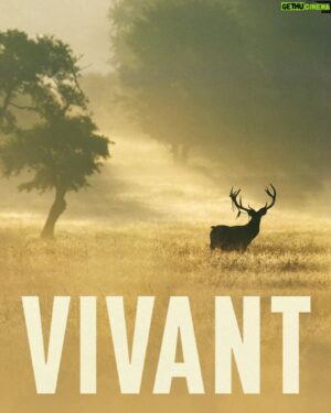 Yann Arthus-Bertrand Instagram - Il y a presque un an, sortait le film VIVANT, fruit d'une collaboration avec @jeremyfrey_ 

📸 Ce projet collectif nous a permis de présenter les images de 200 vidéastes animaliers français pour mettre en lumière la biodiversité foisonnante de notre pays. 

🏞️ Ce film révèle des paysages naturels époustouflants, des instants rares saisis sur le vif, ainsi que des espèces vivantes dont l’existence même sur notre territoire pourrait vous surprendre.

🎊 Nous sommes heureux de mettre ce film à disposition gratuitement pour les établissements scolaires, les associations, les ONG afin d’organiser des projections et utiliser le dossier pédagogique que nous avons créé.

👉🏼 Si vous êtes intéressés, nous vous invitons à visiter notre site et à soumettre votre demande (lien dans ma bio).