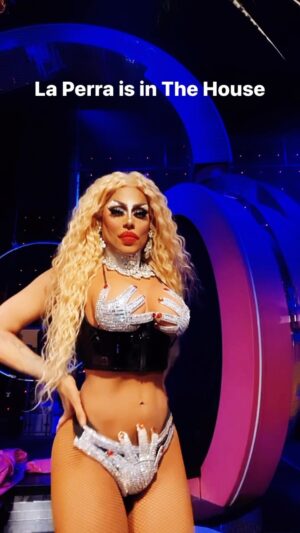 Yara Sofia Instagram - @rupaulsdragrace #dragracelivelasvegas feeling my @shakira oats!!!! Come see the show!! #yarasofia #echapalante #shakira #perrofielshakira #nickyjam