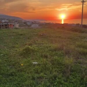 Yaşar Alptekin Instagram - 