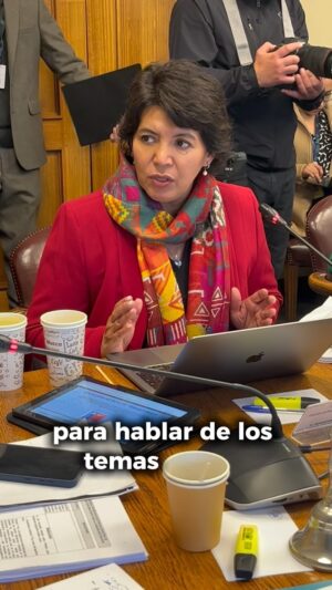 Yasna Provoste Instagram - Es incomprensible este trato. Esperamos poder tener la oportunidad de plantearle al Presidente las dificultades que enfrenta la minería en nuestro país, y así evitar llegar nuevamente tarde a abordar estos problemas.
