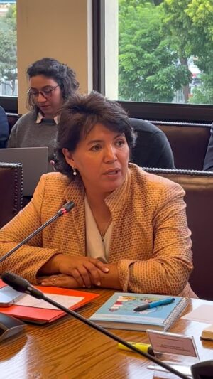 Yasna Provoste Instagram - Hoy hemos logrado el acuerdo de la Comisión de Educación para pedir que la Superintendencia de Educación Parvularia nos entregue un informe desglosado por comunas y regiones sobre denuncias recibidas y acciones tomadas respecto a jardines, salas cuna y guarderías clandestinas, tras el lamentable incidente de una menor de tres años en Quinta Normal. 

Por si ustedes no sabían, la Superintendencia de Educación ha establecido un registro público para jardines infantiles y salas cuna con autorización de funcionamiento, además de un registro basado en denuncias ciudadanas sobre instituciones clandestinas. Y la educación parvularia es el único nivel educativo que puede ser clausurado inmediatamente tras una denuncia. 

Es fundamental contar con esta información para intervenir y resguardar la vida de las niñas y niños.