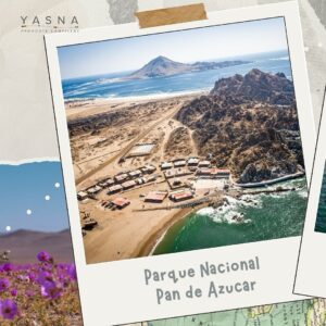 Yasna Provoste Instagram - En este Día Mundial del Medio Ambiente, reflexionemos sobre la importancia de cuidar nuestro planeta y comprendamos que su protección es responsabilidad de todos, sin excepción 🌱. 

Nuestra región de Atacama es un tesoro de biodiversidad y belleza natural, pero también enfrenta desafíos significativos como la escasez de agua del cual no estamos ajenas. Desde sus majestuosos paisajes hasta cada rincón del mundo, nuestro entorno natural necesita de nuestro compromiso y acciones concretas 🌎✨