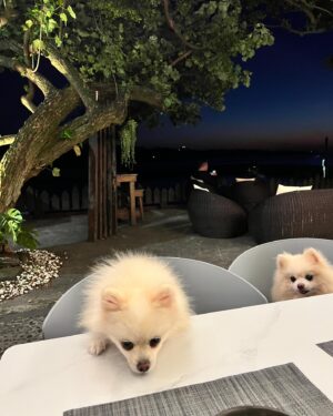 Yeh Ching Han Instagram - 拍了這麼多老人家，這次拍父母的背影。