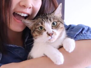 Yen-Ju Chen Instagram - 我看起來像極在虐貓