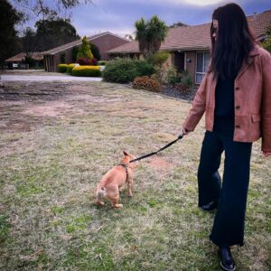 Yi Liu Instagram - Beautiful vacation* I miss Canberra already, although first photo is Sydney lol #vacation #familytime #dog #canberra #canberralife