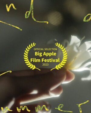 Yi Liu Instagram - Congratulations to the cast and crew 🎉🎊🍾 Thank you @bigapplefilmfestival #cicff @asianworldff for showing this film. @facetschicago