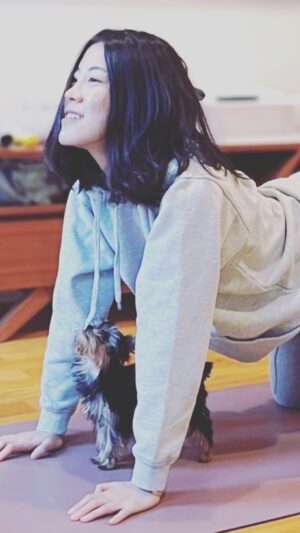 Yi Liu Instagram - Omg I can’t help posting her photos!! I AM IN LOVE!!! ❤️ ❤️ ❤️ #yorkie #firsttimedogowner #kaiju #inlove