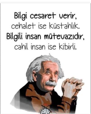 Yıldız Asyalı Instagram - 