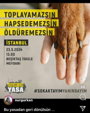 Yıldız Asyalı Instagram - Böyle bir yasa geleceğini tahmin ederdik ama çaresizlik yine devreye girecek,evlatlarımızı katletmeyin!Ben bir gün karanlıkta yürürken beni evime kadar bırakan kocaman bir sokak köpeğinin öldürülmesine nasıl göz yumabilirim?Nasıl bir insanlıktır bu ? #katiller Allah onlara yaşattığınızın kat ve kat üstüne size de yaşatsın 🙏😞