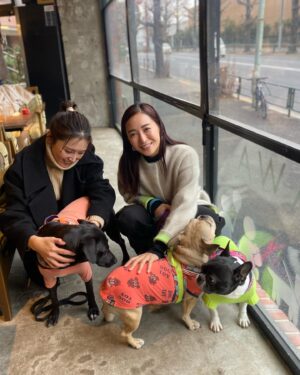 Yoko Mitsuya Instagram - 先日
やっとマキちゃまの愛娘達に会えました🐶

みーんな性格が良くて、人懐っこい。
可愛い可愛い可愛い🥹🫶🏻💕

ストーリーでは三姉妹みんな保護っ子ちゃんと言ってしまったのですが、、
小春は譲渡犬でココワカメちゃんとぶーちゃんが保護っ子でした☺️

マキちゃまは@wolf_lady_を立ち上げて
可愛い保護動物達をもっと身近に感じてもらえるような、スタイリッシュで素敵なイベントを企画・開催しているんです🥹👍
そのほかでも、さまざまなカタチでわんちゃんの支援を行っています🐶

素晴らしいですね😭

また近々、三姉妹とマキちゃまに会いに行こう♡♡♡