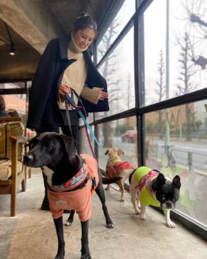 Yoko Mitsuya Instagram - 先日
やっとマキちゃまの愛娘達に会えました🐶

みーんな性格が良くて、人懐っこい。
可愛い可愛い可愛い🥹🫶🏻💕

ストーリーでは三姉妹みんな保護っ子ちゃんと言ってしまったのですが、、
小春は譲渡犬でココワカメちゃんとぶーちゃんが保護っ子でした☺️

マキちゃまは@wolf_lady_を立ち上げて
可愛い保護動物達をもっと身近に感じてもらえるような、スタイリッシュで素敵なイベントを企画・開催しているんです🥹👍
そのほかでも、さまざまなカタチでわんちゃんの支援を行っています🐶

素晴らしいですね😭

また近々、三姉妹とマキちゃまに会いに行こう♡♡♡