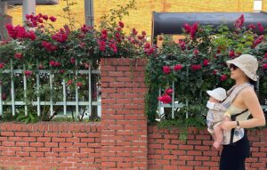 Yoon Jin-seo Instagram - .
꽃을 꺾어 버릴 수는 있지만 
봄이 오는 것을 막을 수는 없다. — 파블로 네루다

오늘은 왜인지 이 문장이 맴돌았어요. 
누군가 나를 방해하는 것만 같고 
힘든일이 있어 지쳐도 
봄이 되십시오 여러분. - 

당신의 봄을 만끽하세요. 

🤍

#봄 #사랑