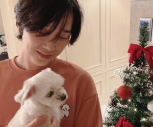 Yoon Jong-hoon Instagram - ⠀
모두 22년의 마지막 달 마무리 잘 하셔요
🥰
⠀
#마루 #22년 #크리스마스