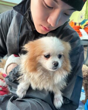 Yoon Seo-bin Instagram - 사지말고 입양하세요! Love our dogs💛🐶