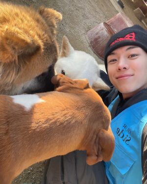 Yoon Seo-bin Instagram - 사지말고 입양하세요! Love our dogs💛🐶