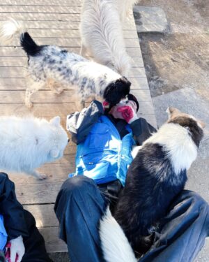 Yoon Seo-bin Instagram - 사지말고 입양하세요! Love our dogs💛🐶