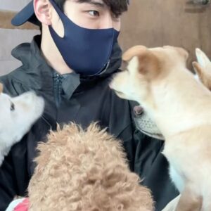 Yoon Seo-bin Instagram - 우리 아이들에게도 하루빨리 봄이 왔으면!! 찬바람도 녹이는, 마음 따뜻한 하루 🐶🌸💗