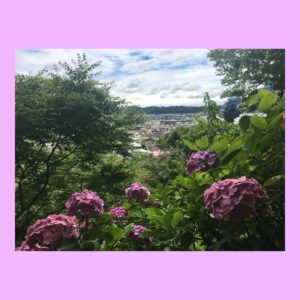 Yoshiko Sengen Instagram - .
あげ忘れていた紫陽花たち。
また来年みられますように。と、
インスタ更新もっとがんばります。
#紫陽花
#あじさい
#花