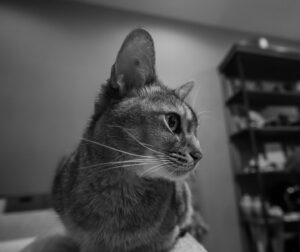 Yoshimi Tokui Instagram - Camera SIGMA fp
Lens  SIGMA 17mm F4 DGDN

f4
ISO 5000
1/40s
