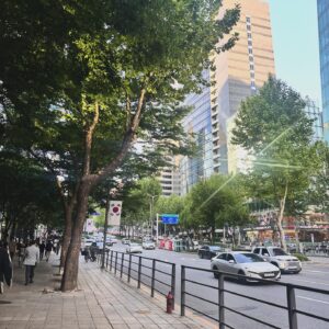 Yozoh Instagram - 토스와 미팅하느라 테헤란로에 다녀왔다. 굳이 다녀올 것까지는 없었던 것 같기도 한데, 그냥 회사를 구경하고 싶어서 갔다! 
퇴근시간의 지하철 속 사람들은 무서울만큼 야멸차고 공격적이었지만 그 사이에서도 귀여운 것들이 있었다.