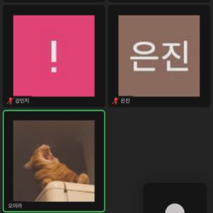 Yozoh Instagram - 원래는 지금 청도에 있었어야 했다. 근데 중국 가려면 비자가 필요하다는 사실을 너무 늦게 아는 바람에 오래전에 준비한 생일 여행은 취소되었다. 그러나 나는 자그마치 MBTI 테스트에서 P가 100퍼센트 나오는 사람으로, 스트레스는 전혀 없고 오히려 더 즐거운 생일 주간을 만끽하고 있다. 오늘은 혜자씨가 연극을 보여줬다. 근처에 새로 오픈한 두부집이 있는데 동네 벗 목정원이 맛이 좋다는 평을 해주어 거기서 서리태콩물을 선물로 사갔다. 근사한 꽃다발이 난무한 격조있는 공연장에 서리태콩물을 들고 서있자니 다소 부끄러웠음...
세미씨의 아름다운 열연을 볼 수 있어 좋았다. 막판에 혜자씨도 나도 눈물이 팍 터져서 짧고 굵게 울었다. 연극이 끝나고 혜자씨가 어깨동무를 해주었다.
한편 오늘은 책방무사 멤버십 멤버 오미라씨가 만든 줌사랑방이 열리는 날이기도 했다. 자신있게 청도에서 접속하겠다고 큰소리를 쳐놓고 ‘저 지금 서울입니다..’ 하고 쭈굴거리며 입장함 
괜차나 괜차나 띵링링랭링