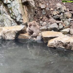 Yu-Tung Lin Instagram - ⁡
聽說全世界只有這裡的猴子會泡溫泉♨️
牠們真的好可愛🥰
看著看著自己也想泡一下了☺️
⁡
⁡
#地獄谷