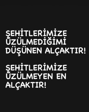 Yunus Günçe Instagram - Her şehit haberiyle içime çok ağır bir şey çöküyor.

Annesini, babasını, kardeşlerini, eşini, çocuğunu düşünüyorum her birinin.

İçime çöken şey büyüyor sonra. Ağırlaştıkça ağırlaşıyor!

Allah rahmet eylesin.

Mekanları cennet olsun🥹

#şehidimizvar #türkiyem🇹🇷 🇹🇷🇹🇷🇹🇷🇹🇷