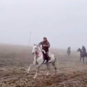 Yusuf Raisov Instagram - Клянусь скачущими запыхаясь!
Клянусь высекающими искры копытами!
Клянусь нападающими на заре!
Тем самым они поднимают столб пыли
и врываются с ним в гущу. 
(Сура 100 СКАЧУЩИЕ , аят 1-5)