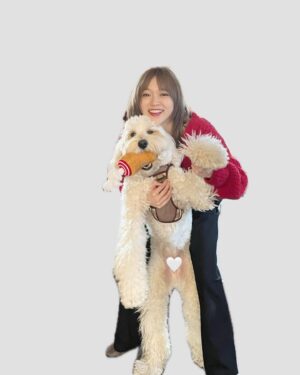Yuuki Wakai Instagram - 年末年始はノアといっぱい遊べたー🐶
⁡
でっかい赤ちゃんなのでまだまだ元気すぎて大変だけど
本当に本当に世界一可愛いです😉
⁡
⁡
#australianlabradoodle #オーストラリアンラブラドゥードル
#ドゥードル