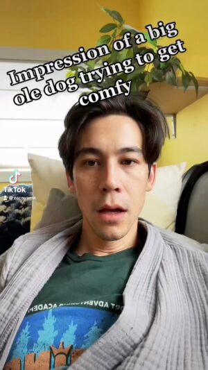Zac Oyama Instagram - FYI This big ole sleepy dog is on TikTok if thats ur thing