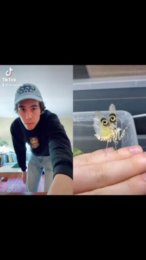 Zac Oyama Instagram - #incrediblemovement #christianbugs #prayer
