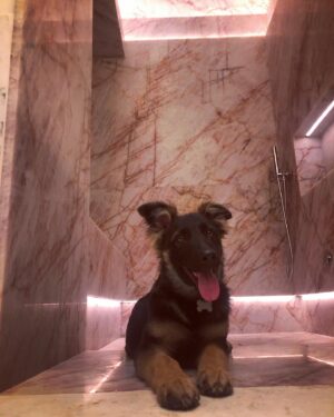 Zachary Quinto Instagram - EVERYONE is thrilled that the effing shower is FINALLY (almost) DONE...