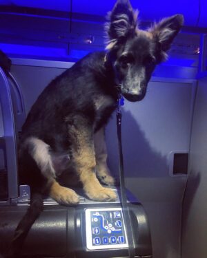 Zachary Quinto Instagram - “are we there... yet?!”
- river
