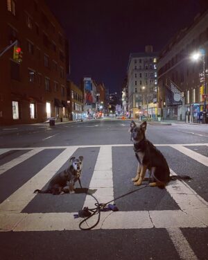 Zachary Quinto Instagram - the only reason(s) to set foot outside.