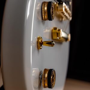 Zacky Vengeance Instagram - Featuring Schecter USA Pasadena & Pasadena Classic pickups with Volume/ Tone (Push-Pull)/ 3-Way Switch Controls, and Satin Gold Hardware - The all new @zackyvengeance ZV-H6LLYW66D LH steals the spotlight. 

For more information and full specs, please visit www.schecterguitars.com