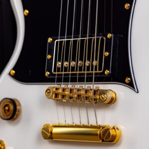Zacky Vengeance Instagram - Featuring Schecter USA Pasadena & Pasadena Classic pickups with Volume/ Tone (Push-Pull)/ 3-Way Switch Controls, and Satin Gold Hardware - The all new @zackyvengeance ZV-H6LLYW66D LH steals the spotlight. 

For more information and full specs, please visit www.schecterguitars.com