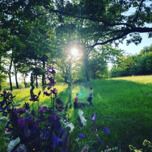 Zdenka Predná Instagram - 🌳🌲🌱💚