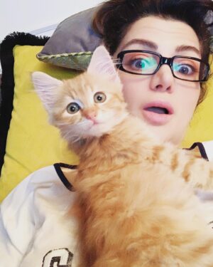 Zeynep Şarlıgil Instagram - Wtf?!!?? #keditarçın🧿 #instacat