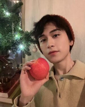 Zhu Zanjin Instagram - 🎄🍎