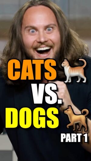 Zoltan Kaszas Instagram - Cats vs. Dogs pt. 1 🐈 🐕 #cats #catthings #funny #standupcomedy