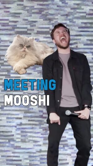Zoltan Kaszas Instagram - My wife’s cat attacked me 😳😼 @mooshi_and_miso  #catsofinstagram #funnycats #cat #standupcomedy