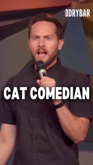 Zoltan Kaszas Instagram - How I became a “Cat Comedian” 🐱

#catsofinstagram #cats #funnycats #standupcomedy