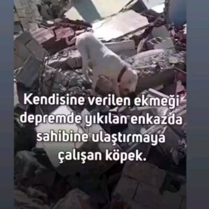Zuhal Yalçın Instagram - İnsan olduğumdan utandığım günler de oldu... işte o günlerden biri...